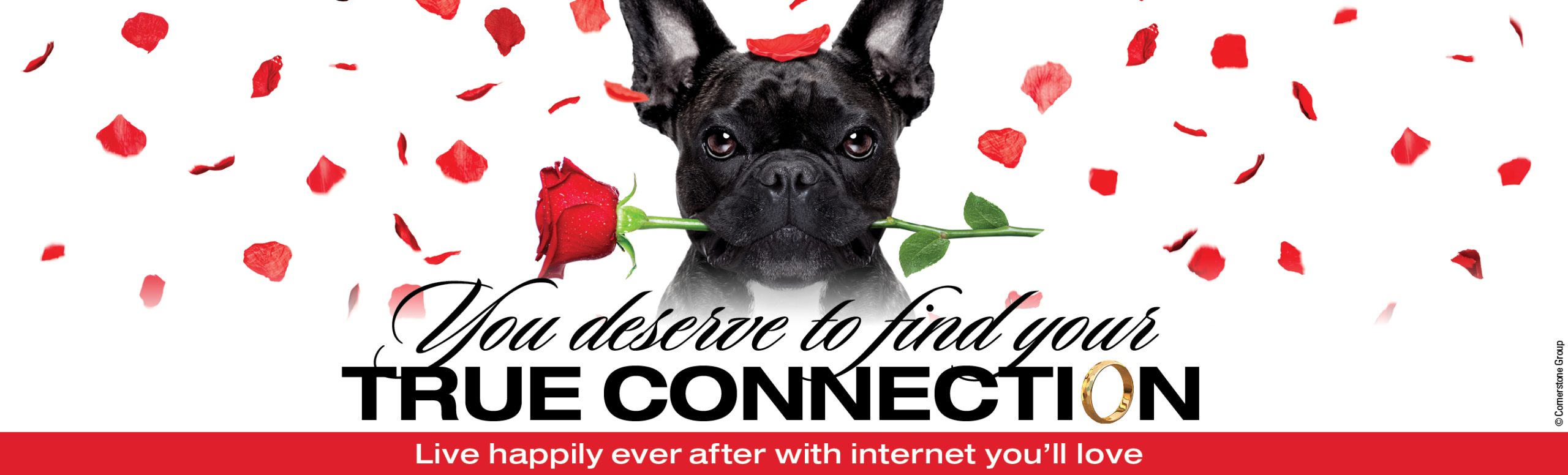 You deserve to find your true connection